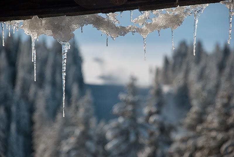 Apartment Suncani Vrhovi Kopaonik Esterno foto
